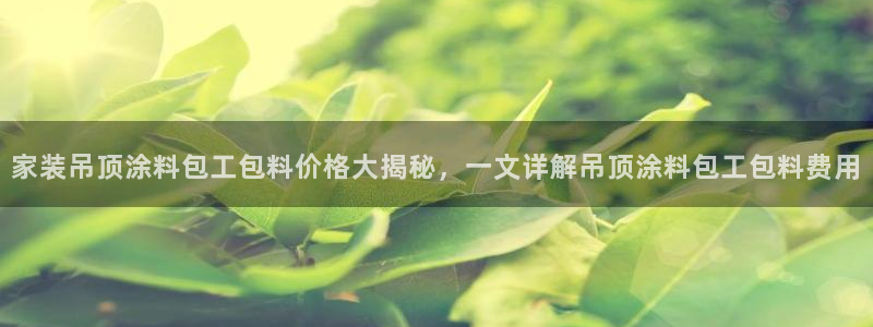 和记h88最新客户端下载：家装吊顶涂料包工包料价格大揭秘，一文详解吊顶涂料包工包料费用