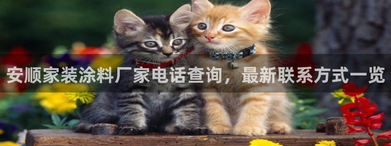 和记最新官方网址：安顺家装涂料厂家电话查询，最新联系方式一览