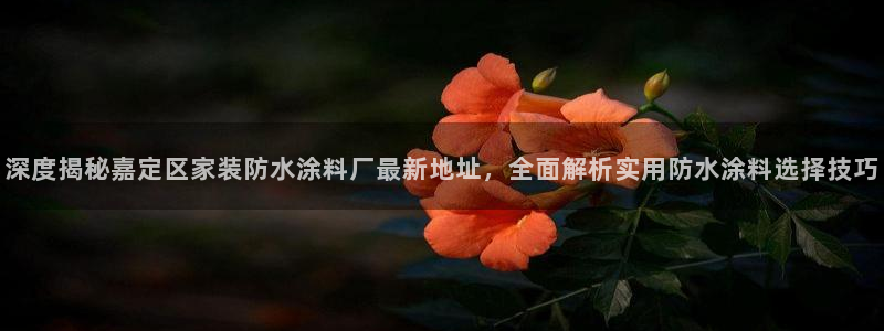 和记Ag：深度揭秘嘉定区家装防水涂料厂最新地址，全面解析实用防水涂料选择技巧