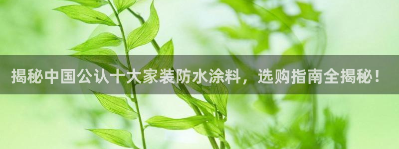 和记官方：揭秘中国公认十大家装防水涂料，选购指南全揭秘！