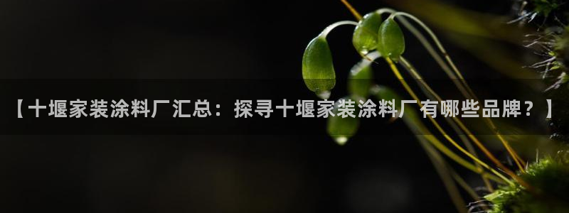 和记官方平台：【十堰家装涂料厂汇总：探寻十堰家装涂料厂有哪些品牌？】
