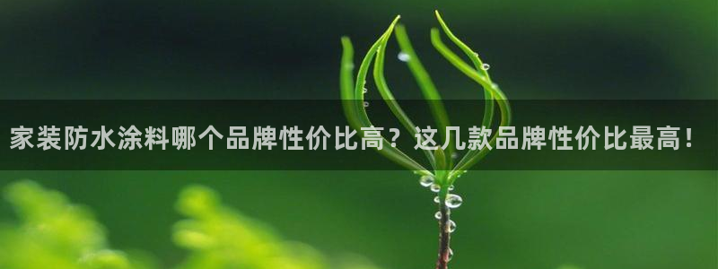 和记2017app：家装防水涂料哪个品牌性价比高？这几款品牌性价比最高！