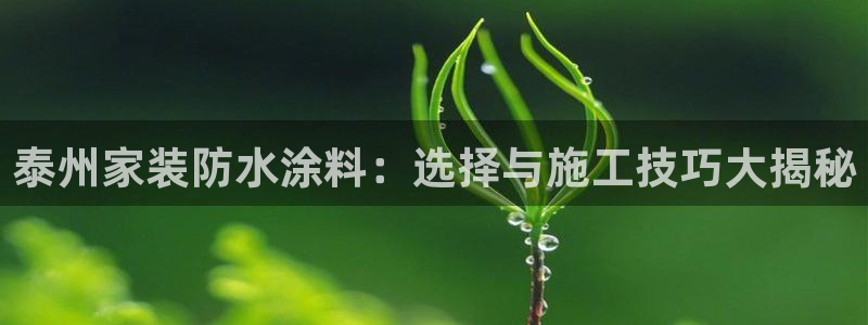和记ag旗舰：泰州家装防水涂料：选择与施工技巧大揭秘