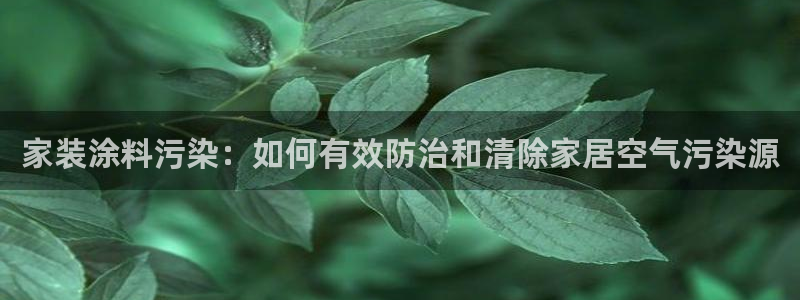 和记国际官网官网：家装涂料污染：如何有效防治和清除家居空气污染源