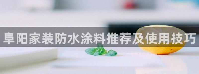 青岛大生和记餐饮管理有限公司：阜阳家装防水涂料推荐及使用技巧