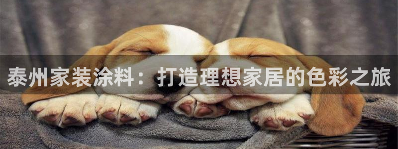 和记hj