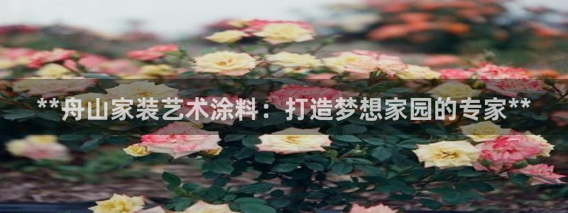 和记娱好网址