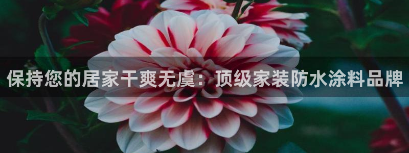 和记国际听