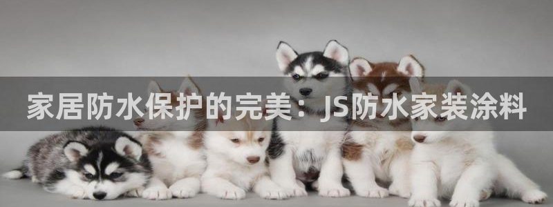 和记app官网