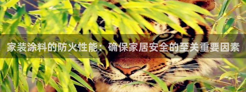 和记平台：家装涂料的防火性能：确保家居安全的至关重要因素