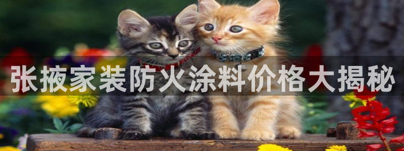 和记国际开户
