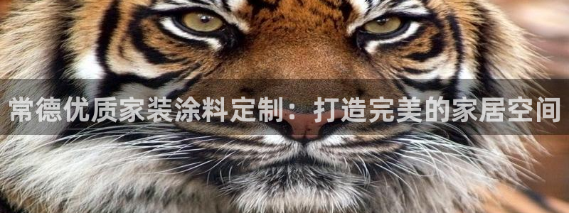 和记(福建)商贸有限公司：常德优质家装涂料定制：打造完美的家