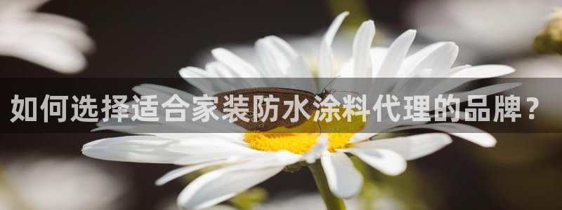 和记官网 公司：如何选择适合家装防水涂料代理的品牌？
