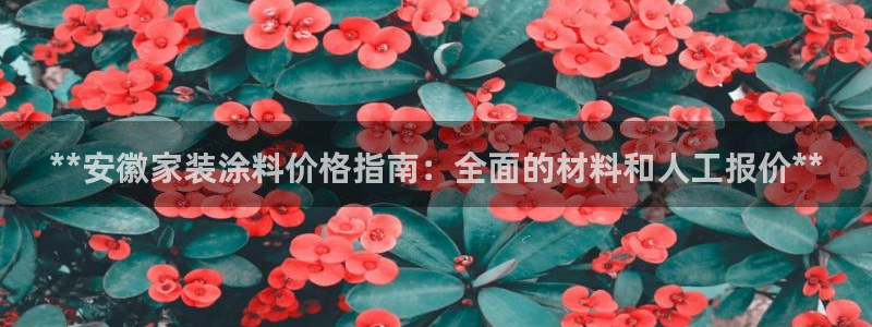 官方和记国际平台登录：**安徽家装涂料价格指南：全面的材料和人工报价**