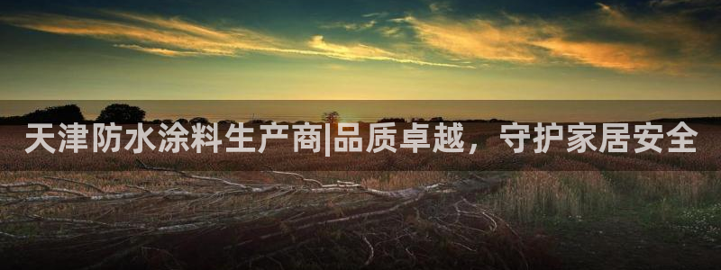 ag和记app：天津防水涂料生产商|品质卓越，守护家居安全