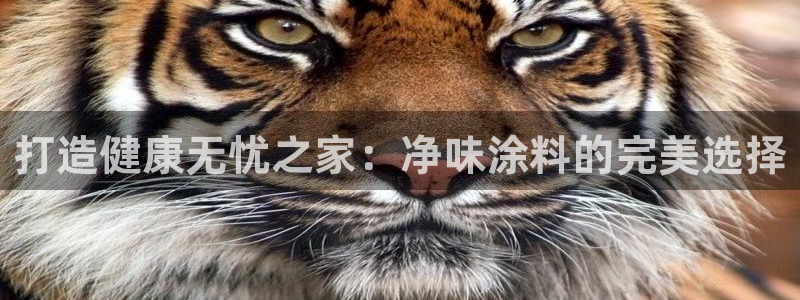 和记h88游戏：打造健康无忧之家：净味涂料的完美选择