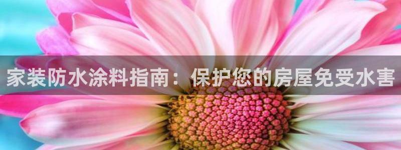 和记app官网