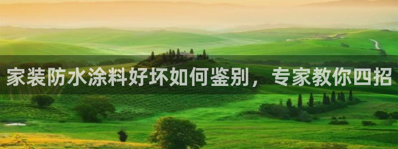 和记国际官网官网
