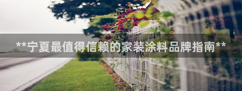 和记官网[中国]官方网站：**宁夏最值得信赖的家装涂料品牌指南**