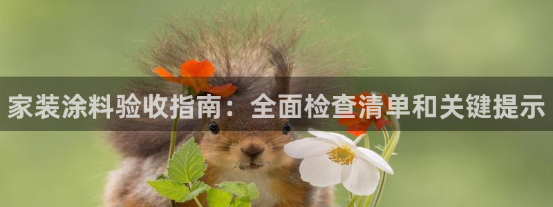 和记国际听：家装涂料验收指南：全面检查清单和关键提示