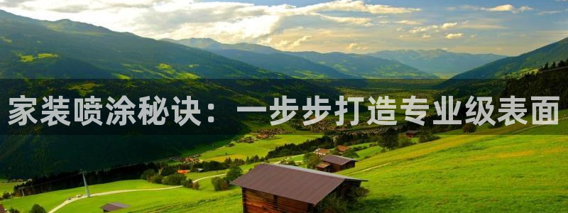 和记官方网址：家装喷涂秘诀：一步步打造专业级表面