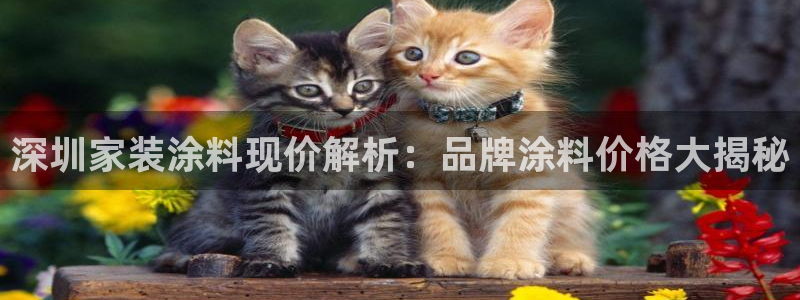 和记电业集团：深圳家装涂料现价解析：品牌涂料价格大揭秘