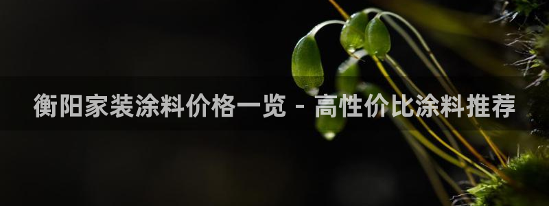 和记ag旗舰