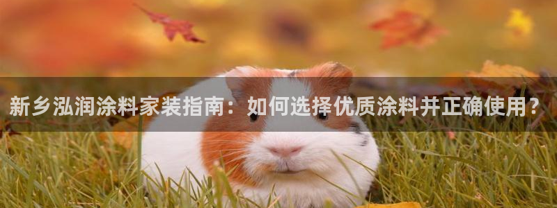 和记ag旗舰：新乡泓润涂料家装指南：如何选择优质涂料并正确使用？