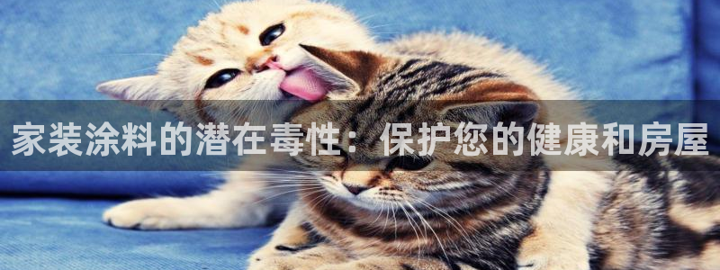 和记登陆：家装涂料的潜在毒性：保护您的健康和房屋