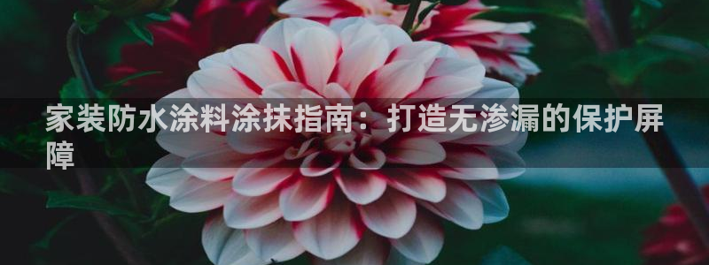 和记(福建)商贸有限公司：家装防水涂料涂抹指南：打造无渗漏的保护屏
障